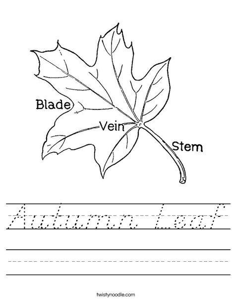 Leaf with Veins Worksheet