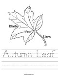 Autumn Leaf Worksheet