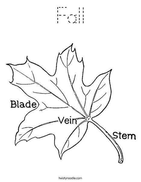 Leaf with Veins Coloring Page