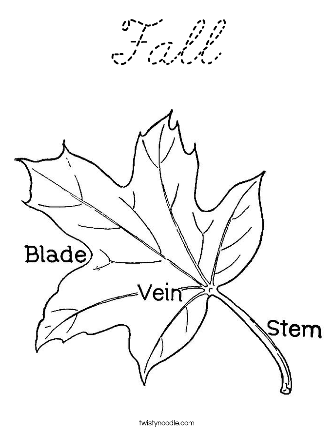  Coloring Page