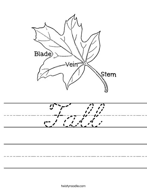 Leaf with Veins Worksheet
