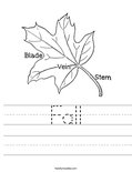 Fall Worksheet