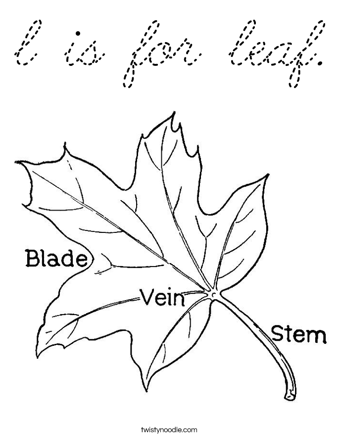  Coloring Page