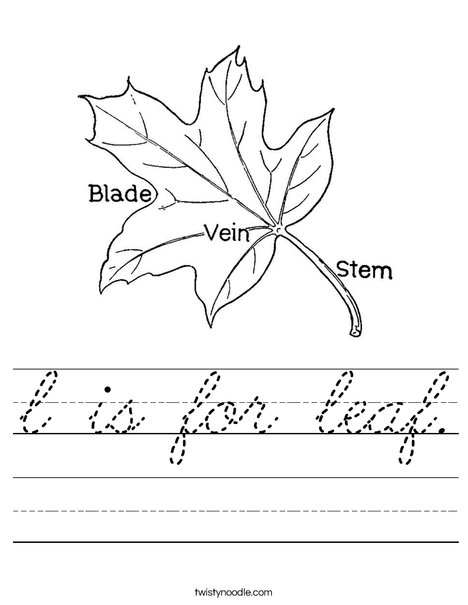 Leaf with Veins Worksheet