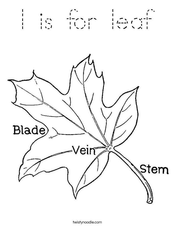 l is for leaf Coloring Page