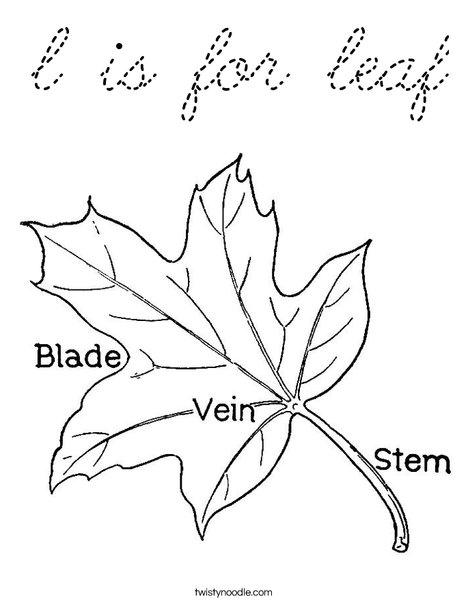 Leaf with Veins Coloring Page