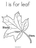 l is for leaf Coloring Page