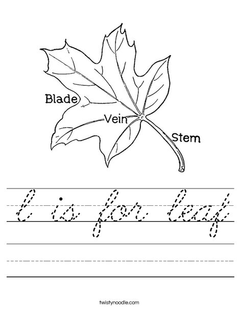 Leaf with Veins Worksheet