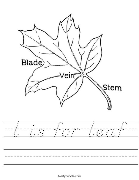 Leaf with Veins Worksheet