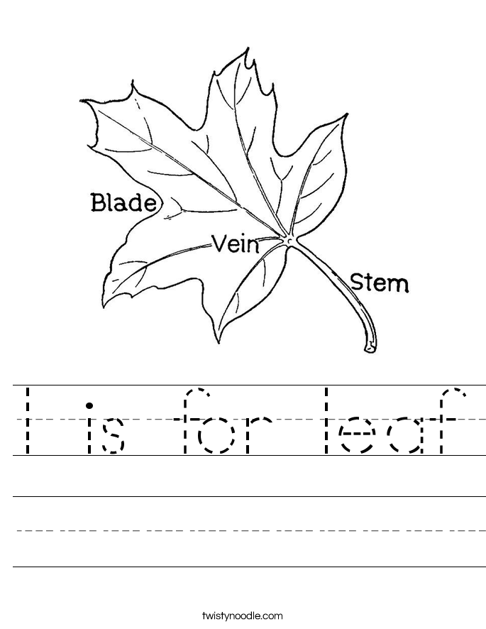 l is for leaf Worksheet