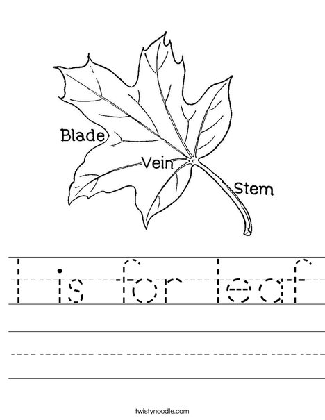 Leaf with Veins Worksheet