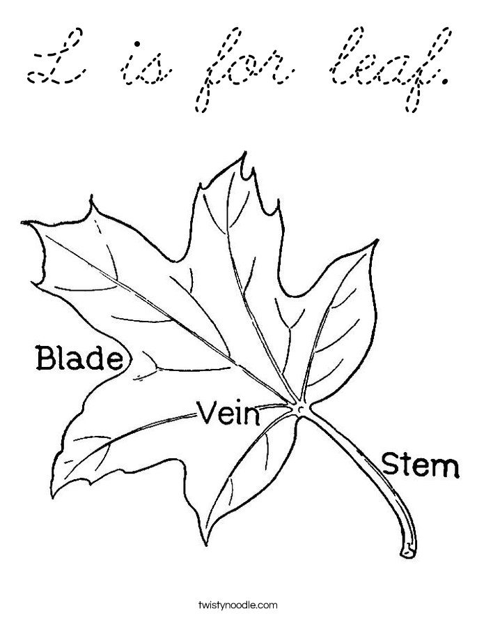  Coloring Page