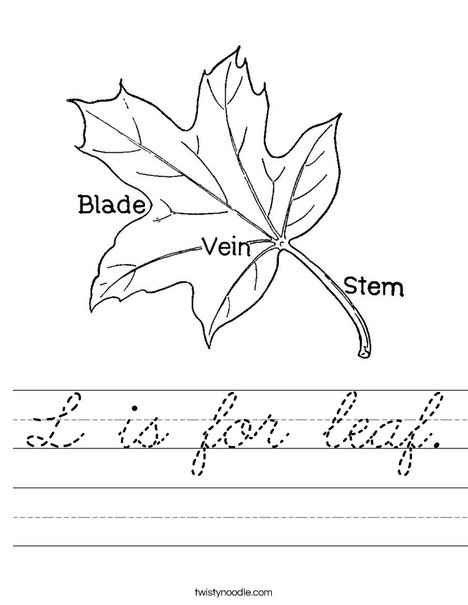 Leaf with Veins Worksheet