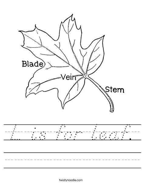 Leaf with Veins Worksheet