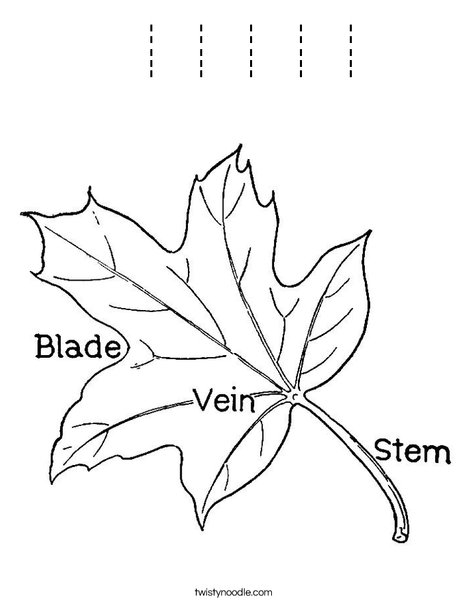 Leaf with Veins Coloring Page