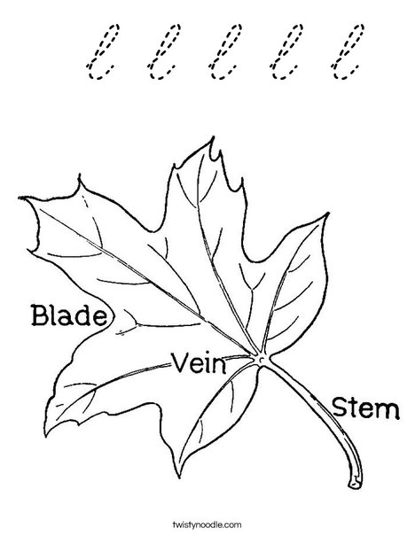 Leaf with Veins Coloring Page