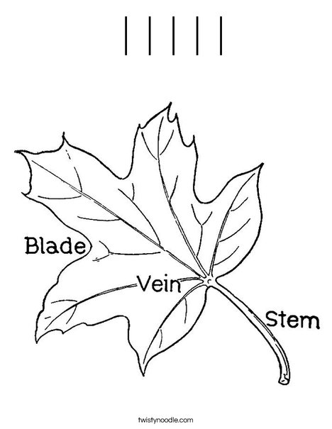 Leaf with Veins Coloring Page