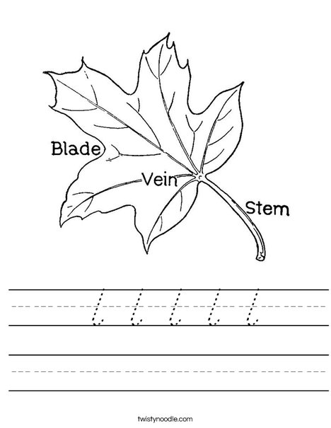 Leaf with Veins Worksheet