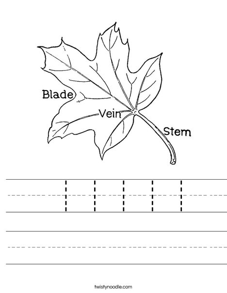 Leaf with Veins Worksheet