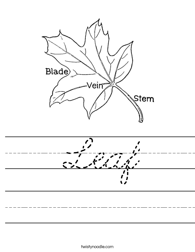 Leaf Worksheet