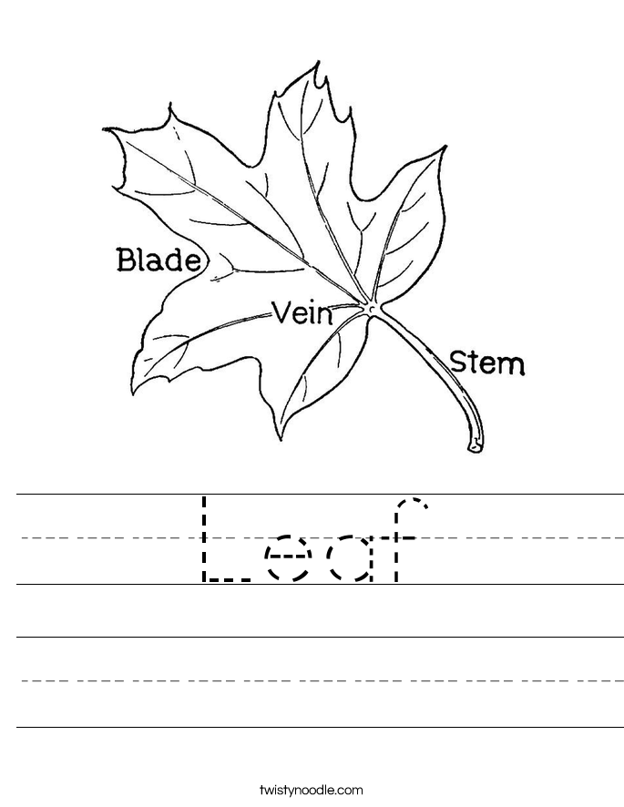 Leaf Worksheet