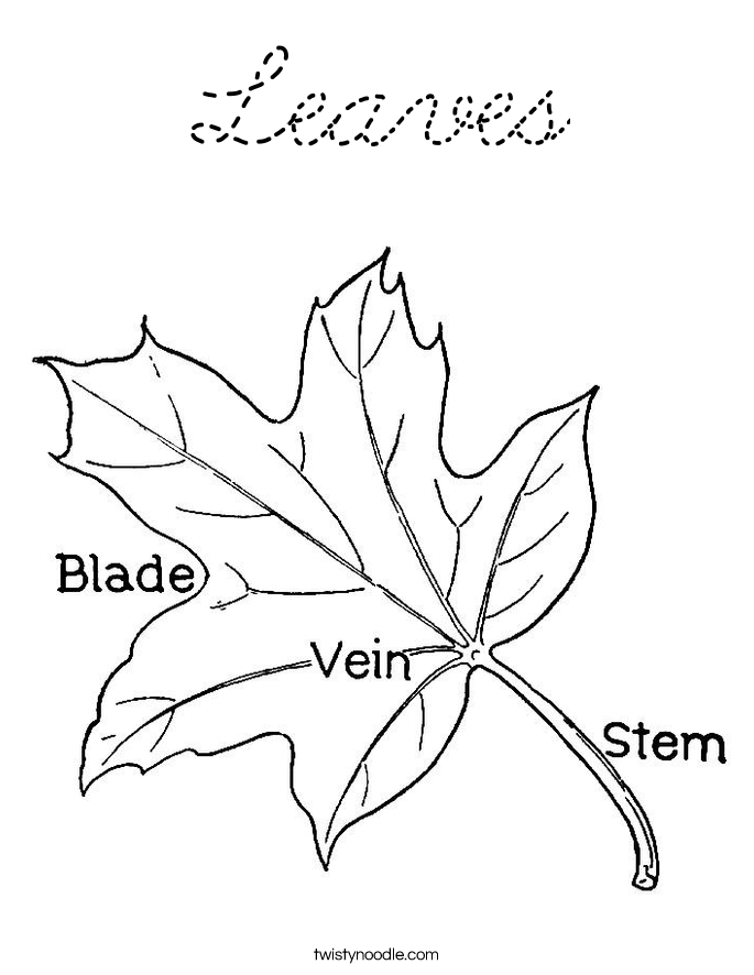  Coloring Page