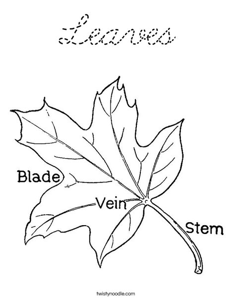 Leaf with Veins Coloring Page
