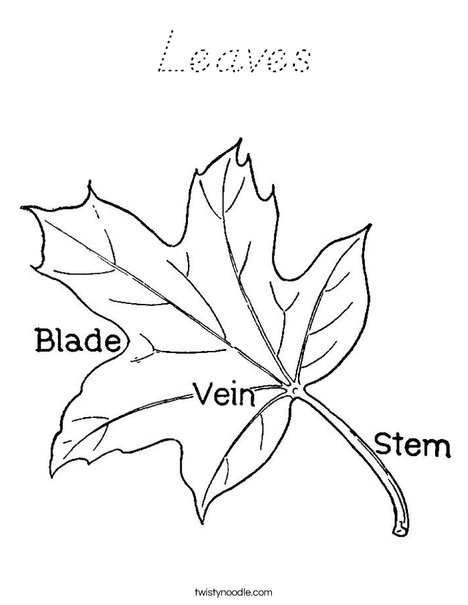 Leaf with Veins Coloring Page