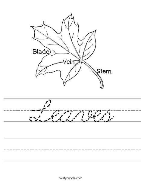 Leaf with Veins Worksheet