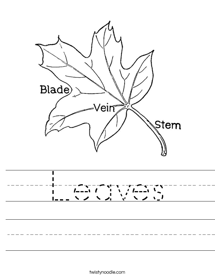 Leaves Worksheet
