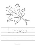 Leaves Worksheet
