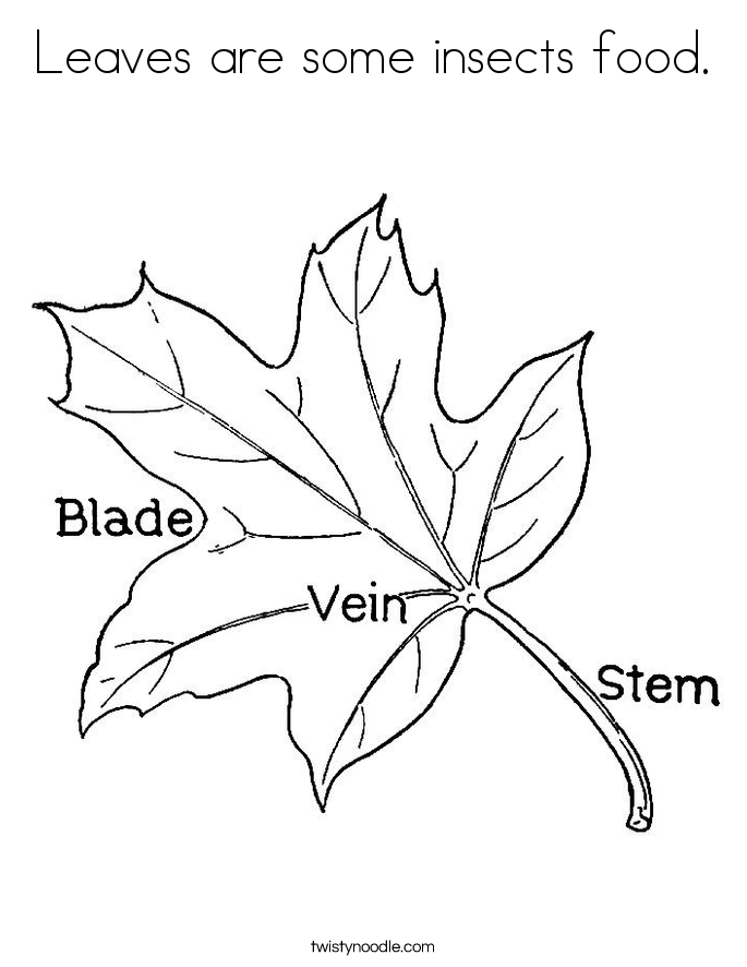 Leaves are some insects food. Coloring Page