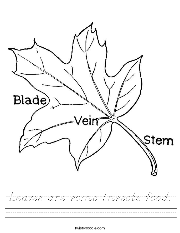 Leaves are some insects food. Worksheet