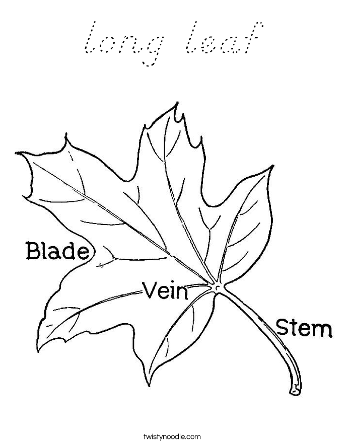 long leaf Coloring Page
