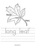 long leaf Worksheet