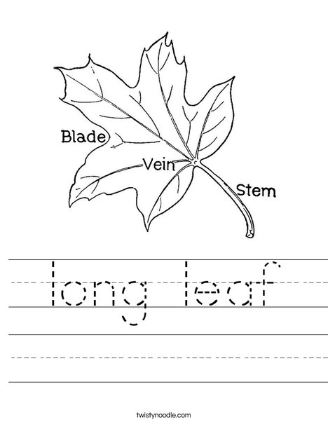 Leaf with Veins Worksheet