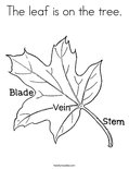 The leaf is on the tree.Coloring Page