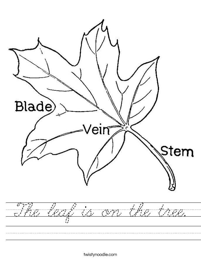 The leaf is on the tree. Worksheet