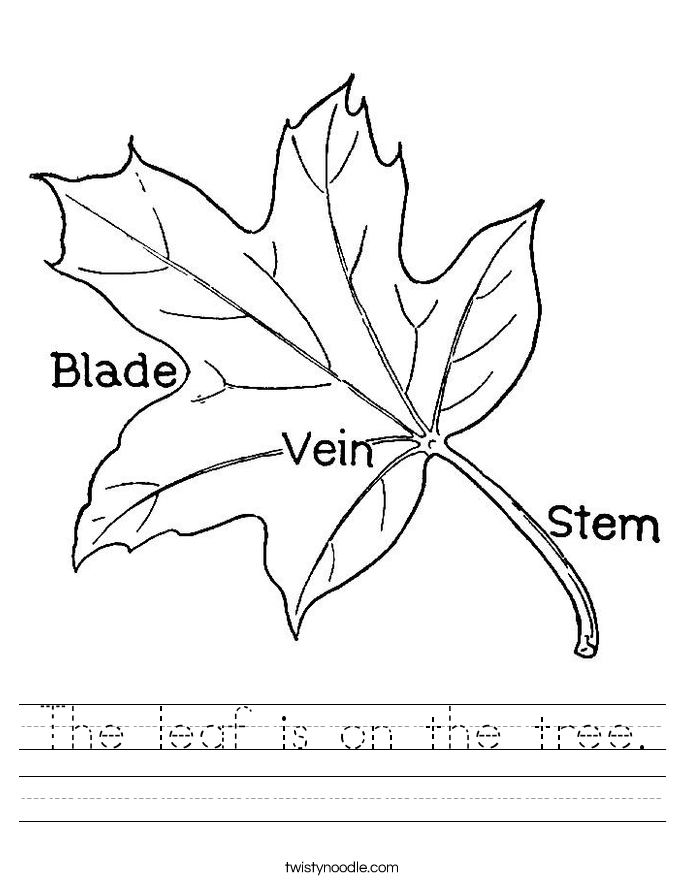 The leaf is on the tree. Worksheet
