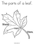 The parts of a leaf. Coloring Page