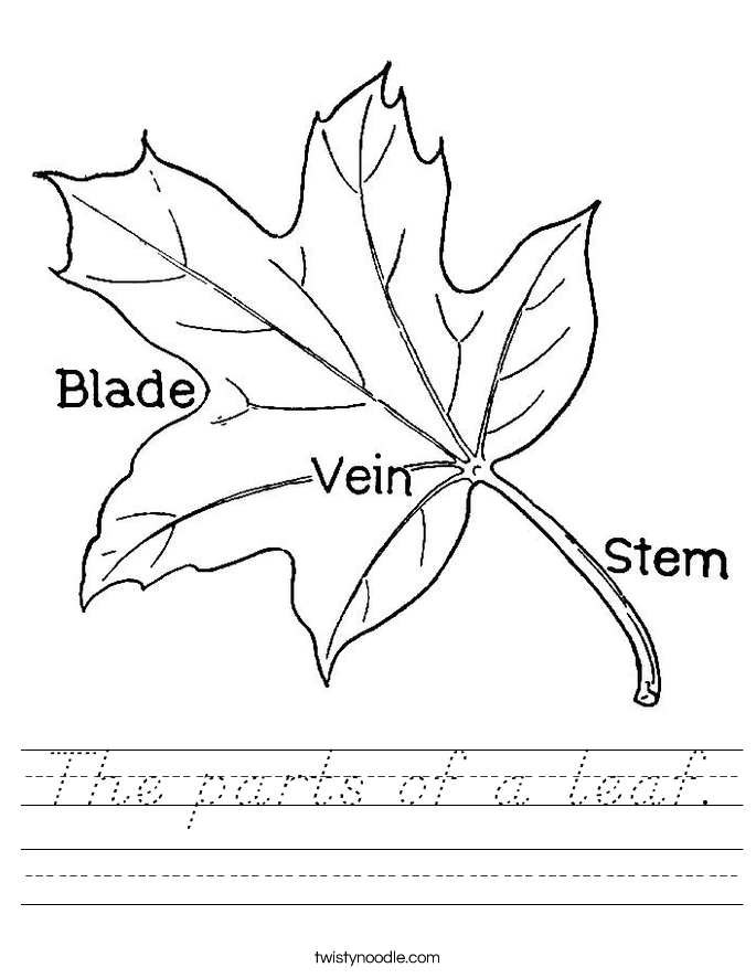 The parts of a leaf. Worksheet