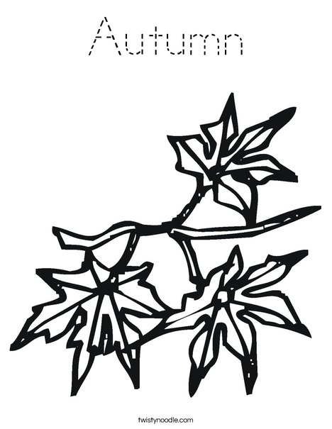 Leaves Coloring Page