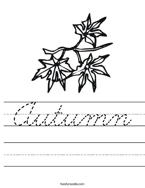 Leaves Worksheet