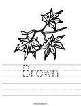 Brown Worksheet