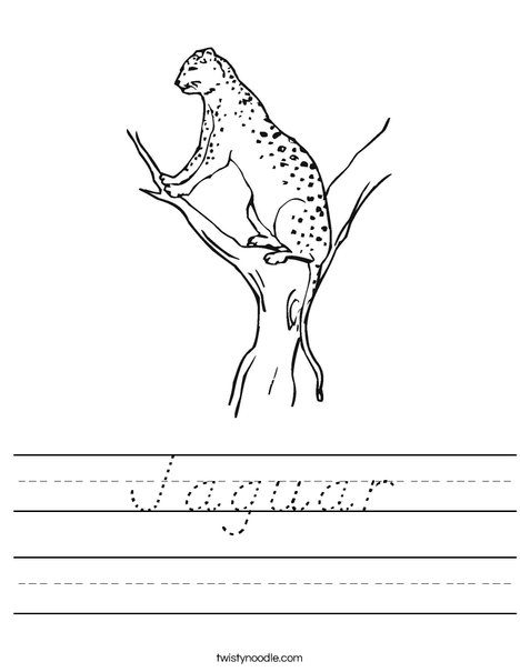 Leopard Worksheet