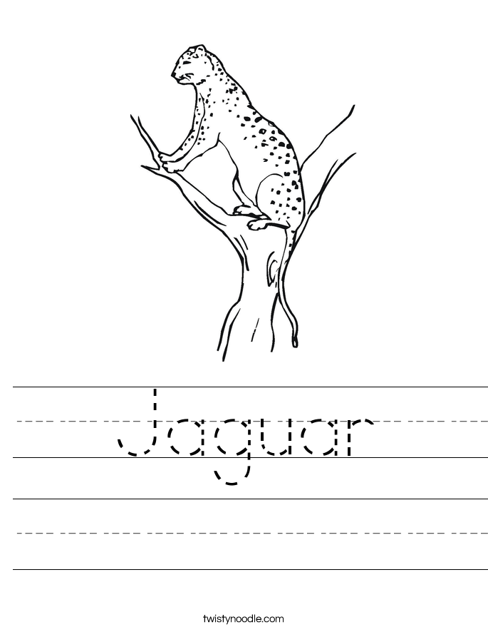 Jaguar Worksheet