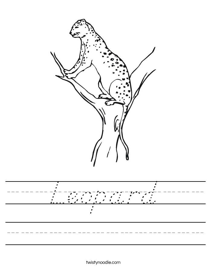 Leopard Worksheet