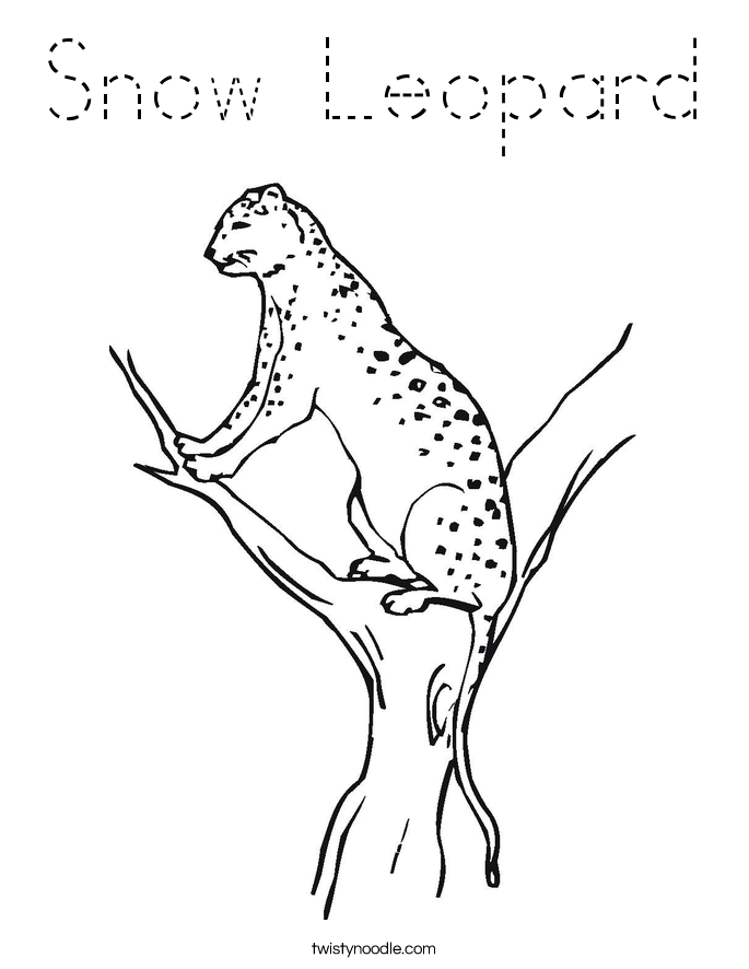 Snow Leopard Coloring Page
