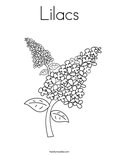 LilacsColoring Page