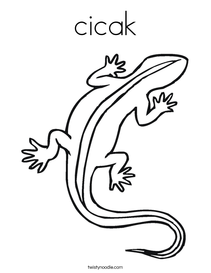 cicak Coloring Page - Twisty Noodle